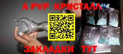 стаф Кунгур