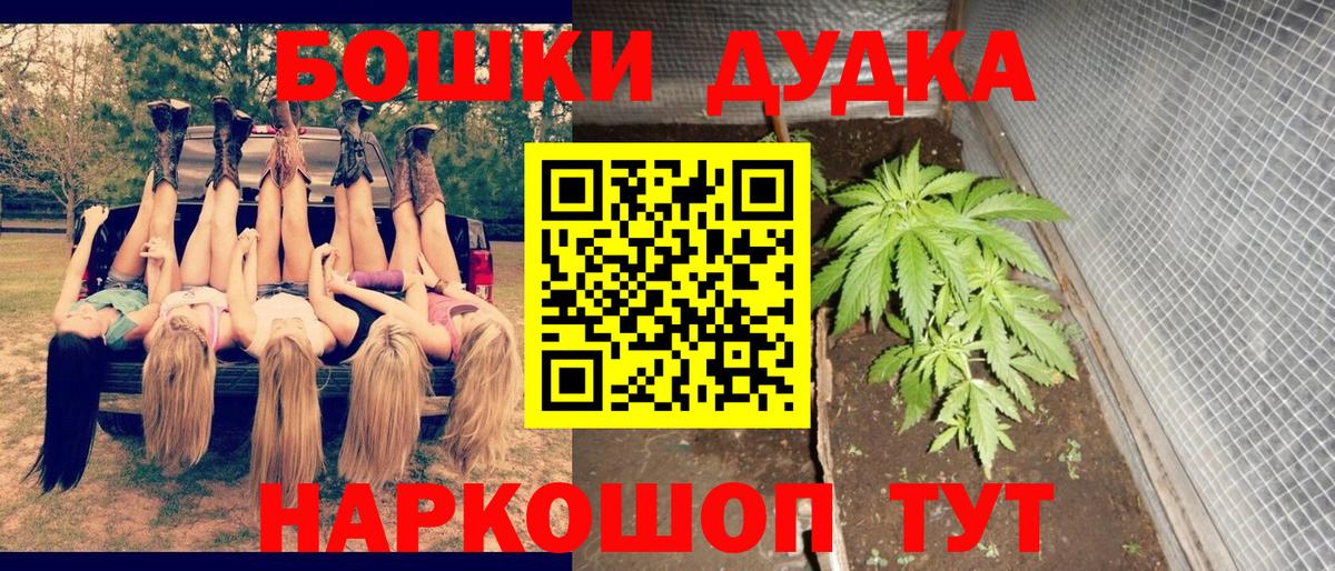 Канабис планчик  Бошки Шишки MAZAR  Карачаевск  Бошки Шишки гибрид  Вход с VPN  Бошки марихуана конопля 